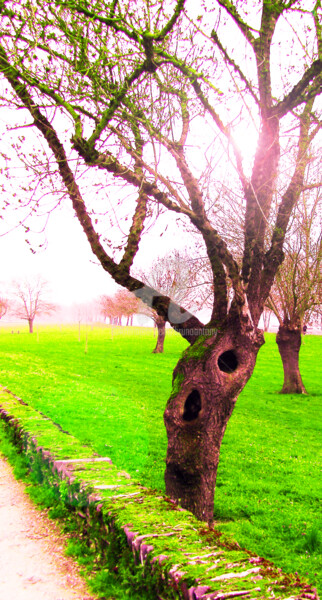 Un arbre auto stoppeur