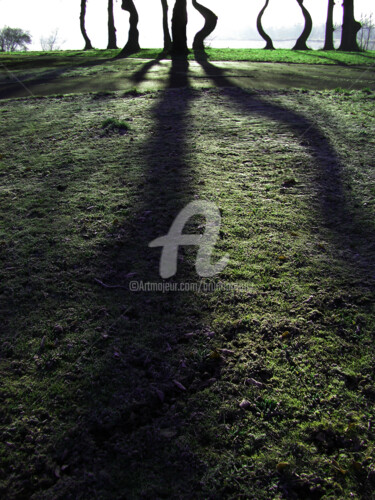 La confrérie des arbres